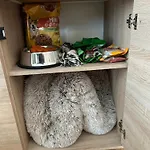 Schöne, moderne Ferienwohnung mitten im Zentrum